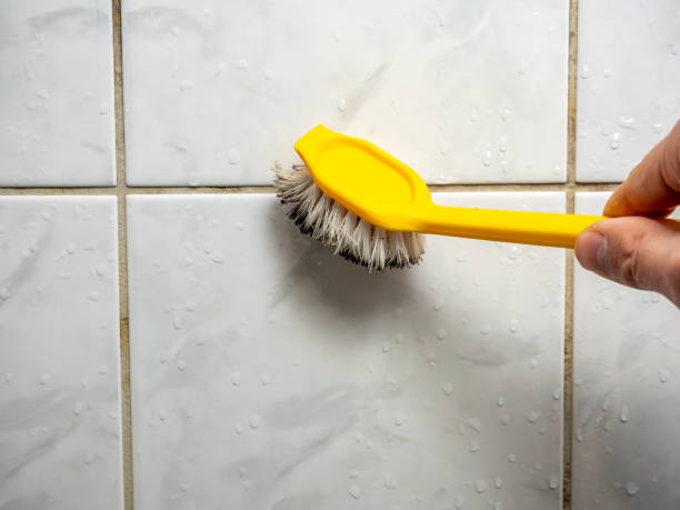 Best Best Mold Removal Companies  in Kellogg, ID