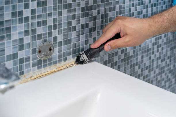 Best Mold Remediation  in Kellogg, ID